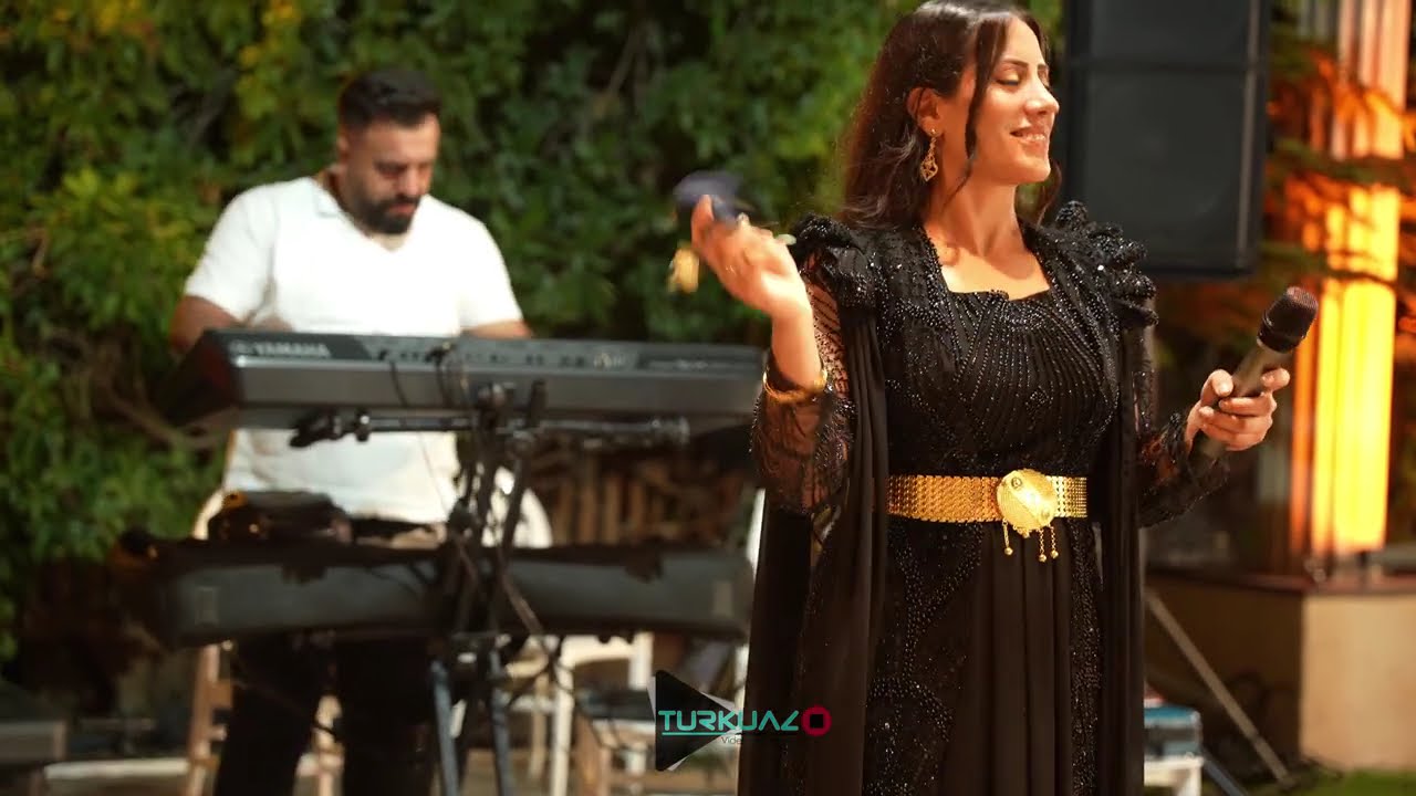 Zilan Şervan Efsane Ağır Halaylar 2025