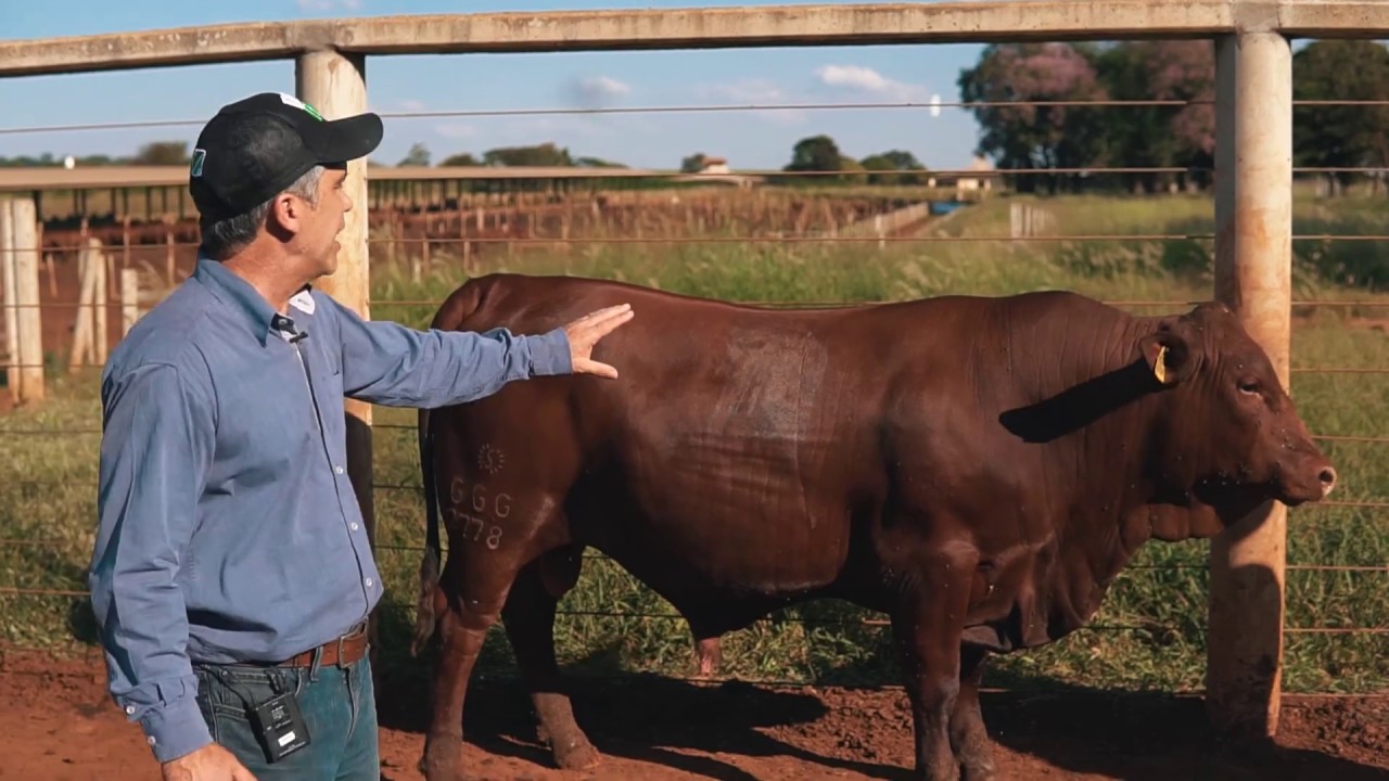 Avaliação Visual EPMURAS na 