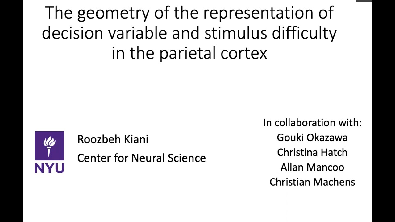 The geometry of the representation of decision variable & stimulus difficulty in the parietal cortex