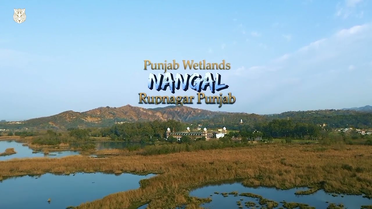 Nangal Wetlands - Nangal, Rupnagar (Punjab) India