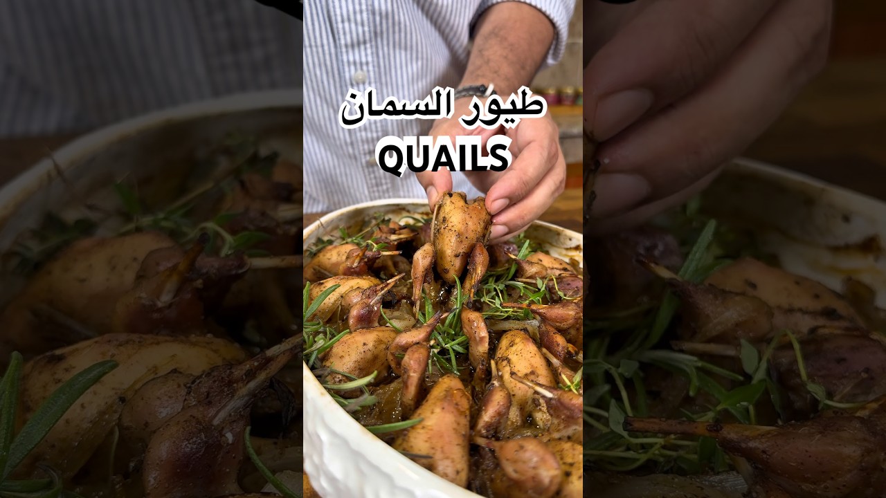 طيور السمان QUAILS
