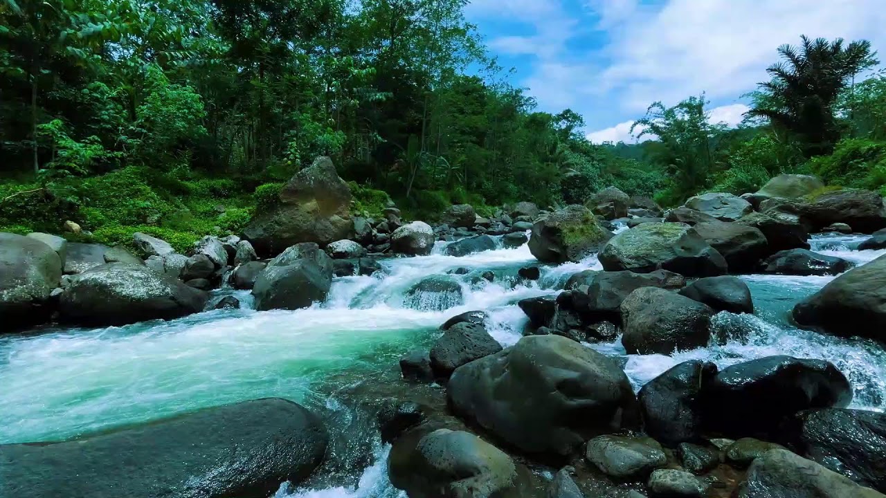Deep Sleep River Sounds That Will Put You to Sleep Instantly | Insomnia Relief