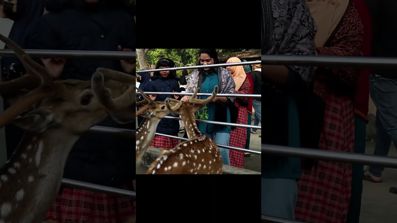 সুন্দরবন করমজল ভ্রমন || sundarban koromjol tour#sundarban#সুন্দরবন#করমজল#novafilm24 #travelvlog