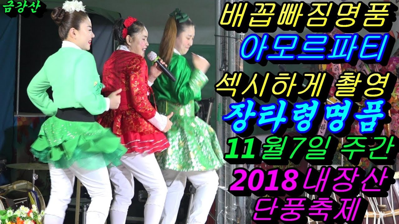 💗버드리 배꼽빠짐웃음대박명품💗11월7일 주간 2018 내장산 단풍축제 초청 공연