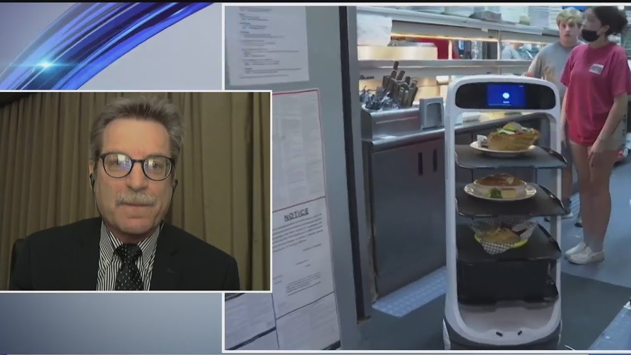 Are robots taking away jobs? Expert weighs in