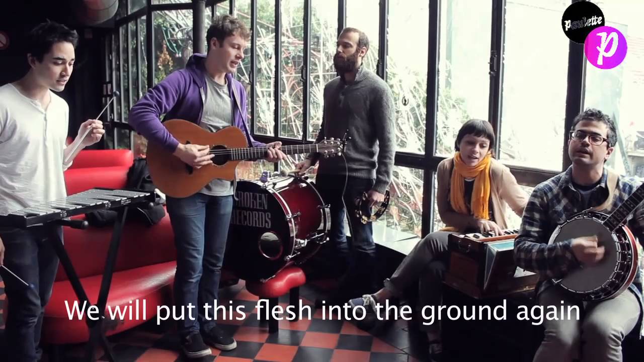 freelance whales acoustic session 