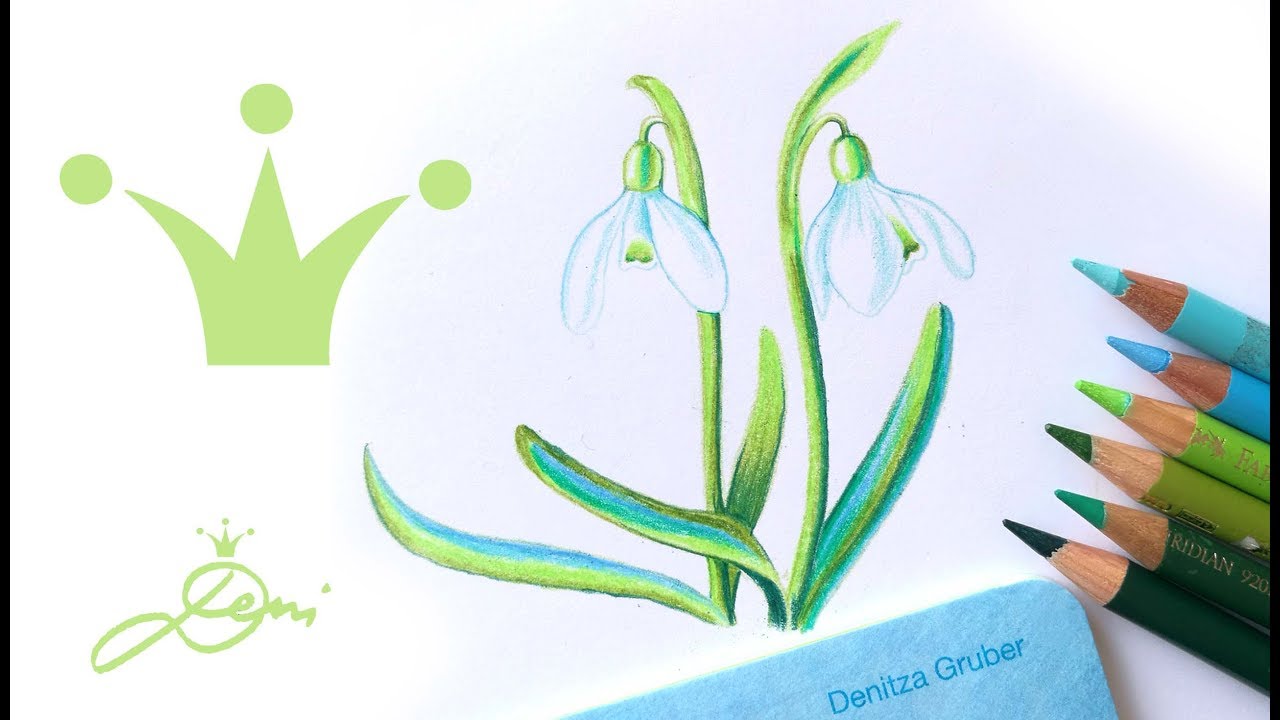 Schneeglöckchen Blumen zeichnen 🥀 How to Draw a Snowdrop Flower 🥀 comment dessiner un perce neige