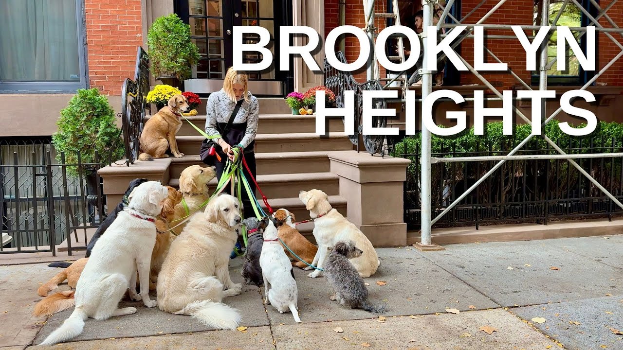 NEW YORK CITY Walking Tour [4K] - BROOKLYN HEIGHTS