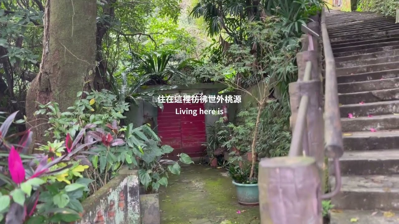 仙跡岩 Taipei Hiking VLOG: Xianjiyan Trail. 101 Views, Nodding Clerodendrum & Spiritual Healing.