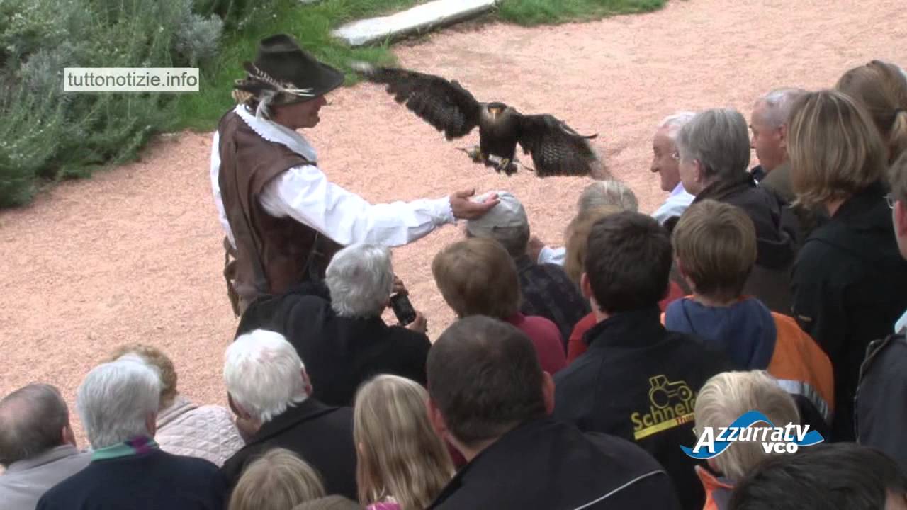 La Falconeria di Locarno