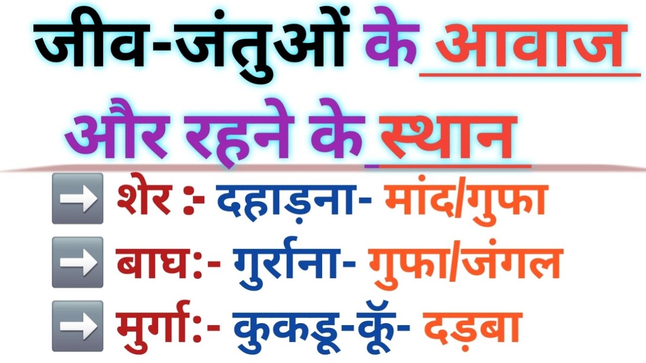 जीव-जंतुओं के आवाज और रहने के स्थान | EVS VVI Points | CTET/UPTET/KVS/NVS/MP TET