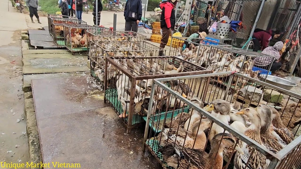 Cross-Border Market Life: Discovering Dong Dang&rsquo;s Hidden Stories