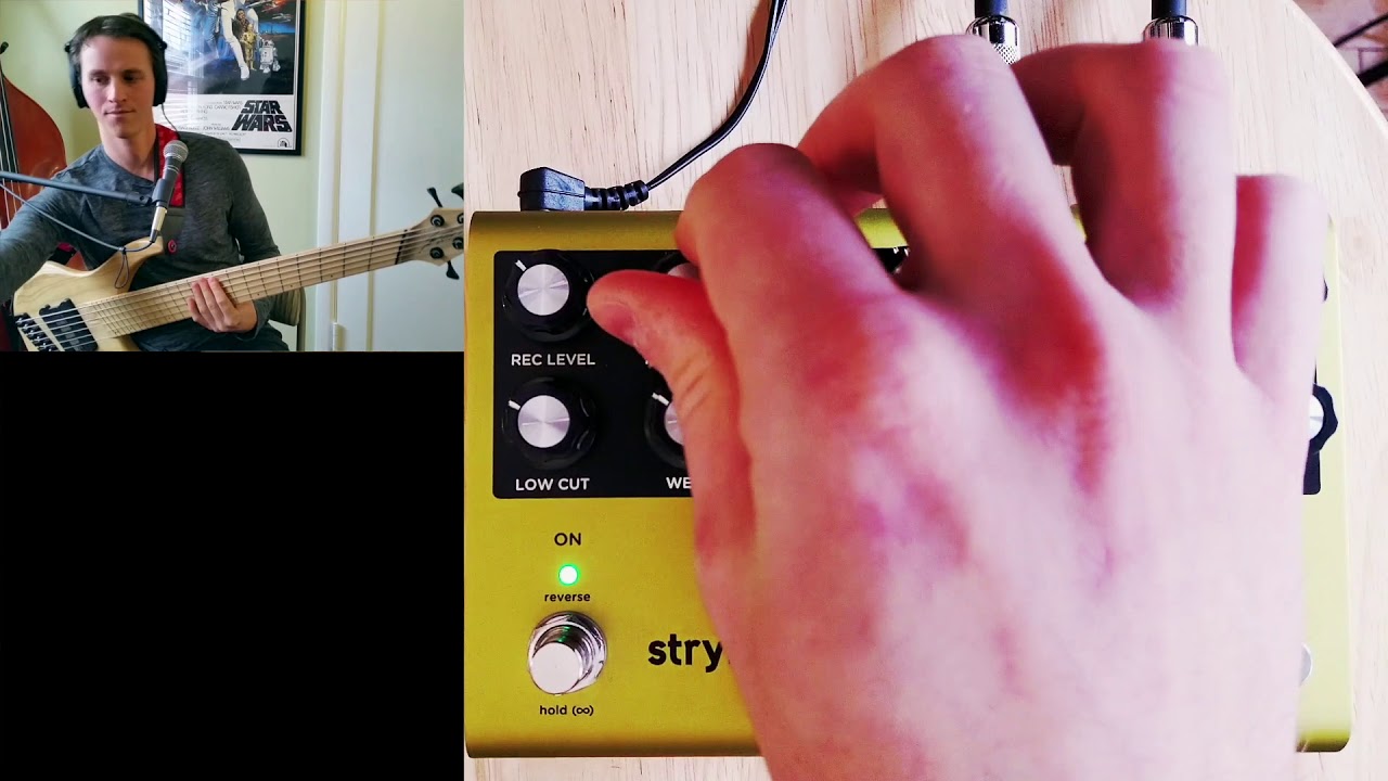 Демонстрация бас-гитары Strymon Volante