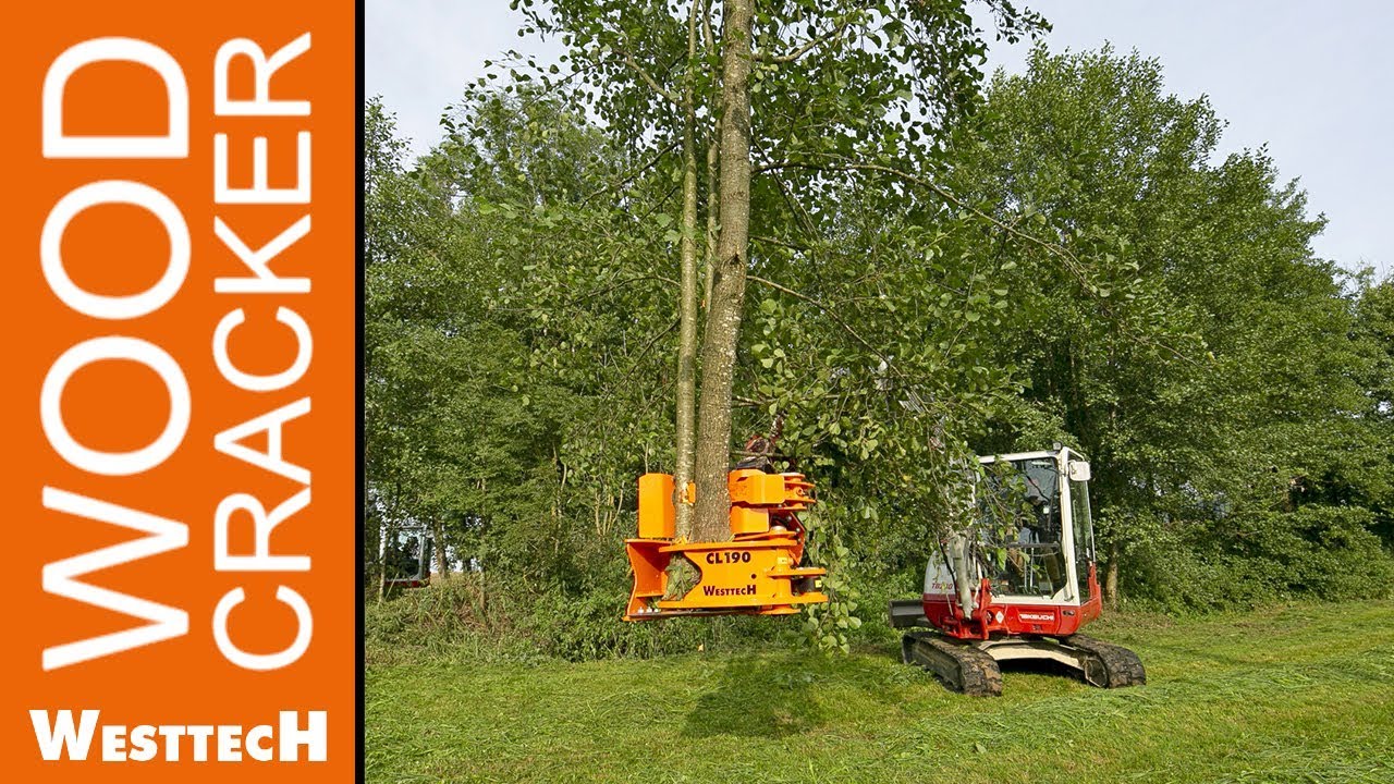 Schneidkopf Woodcracker CL190 mit Sammelgreifer