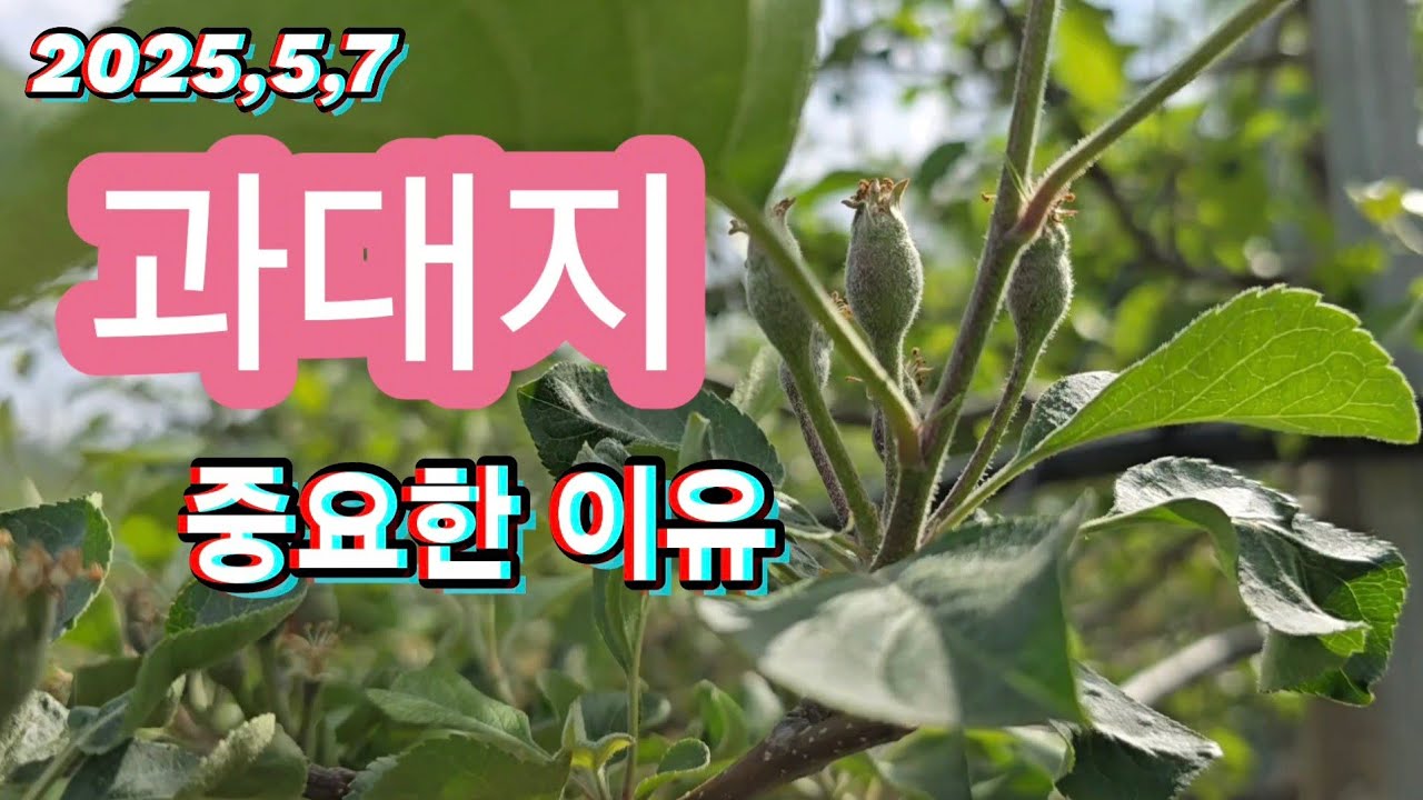 과대지가 중요한 이유