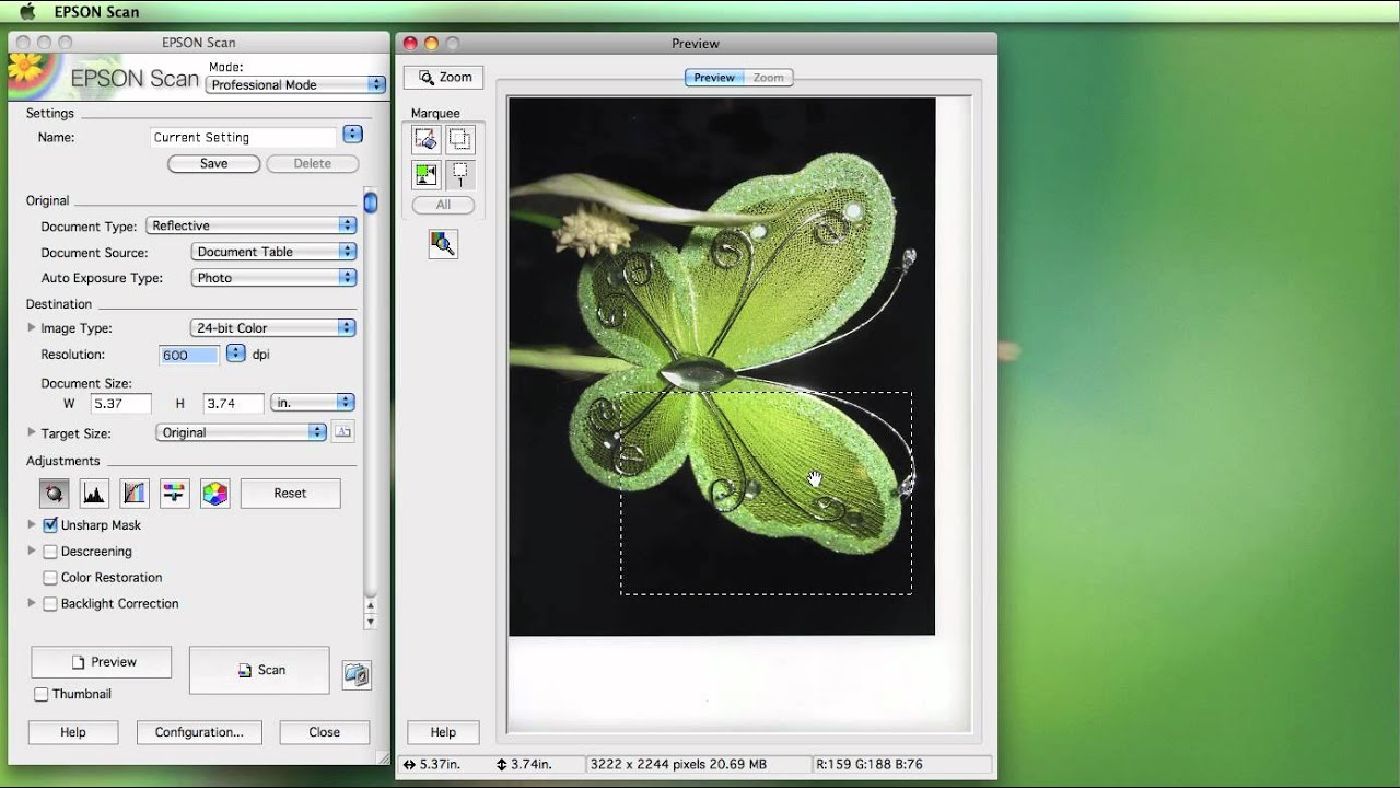 Scanning using the Epson Software