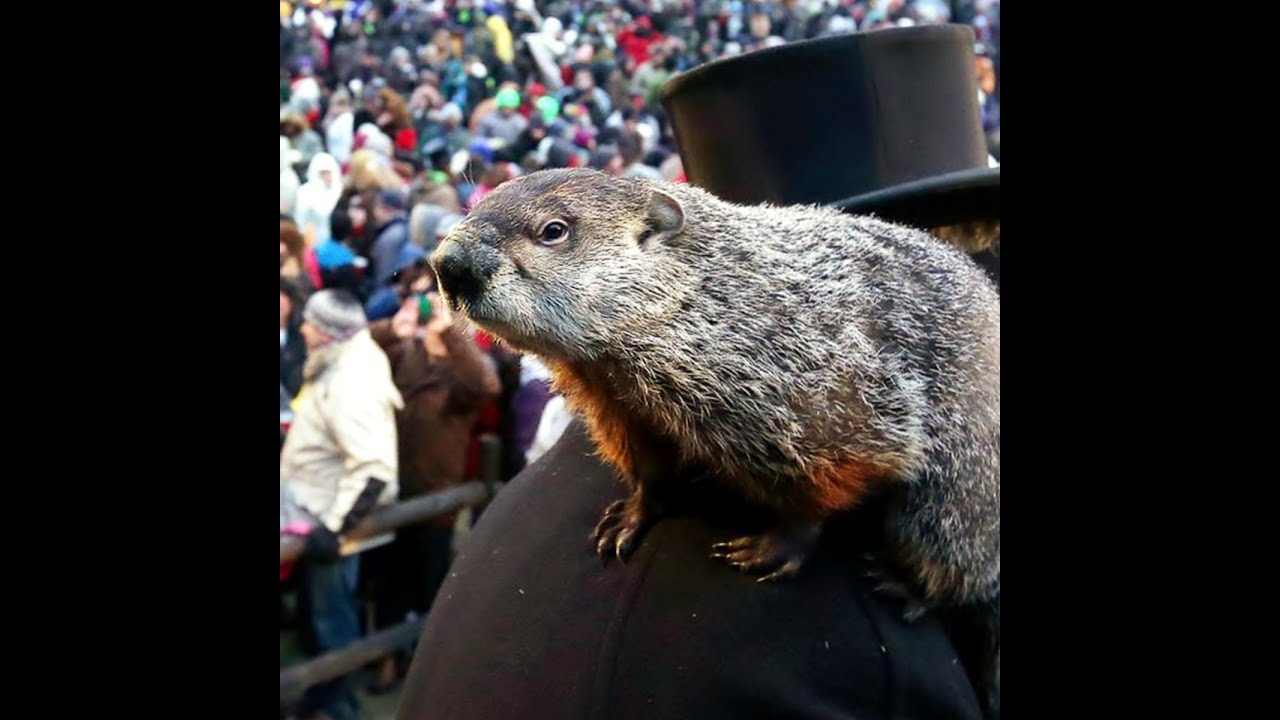 Groundhog Day 2022