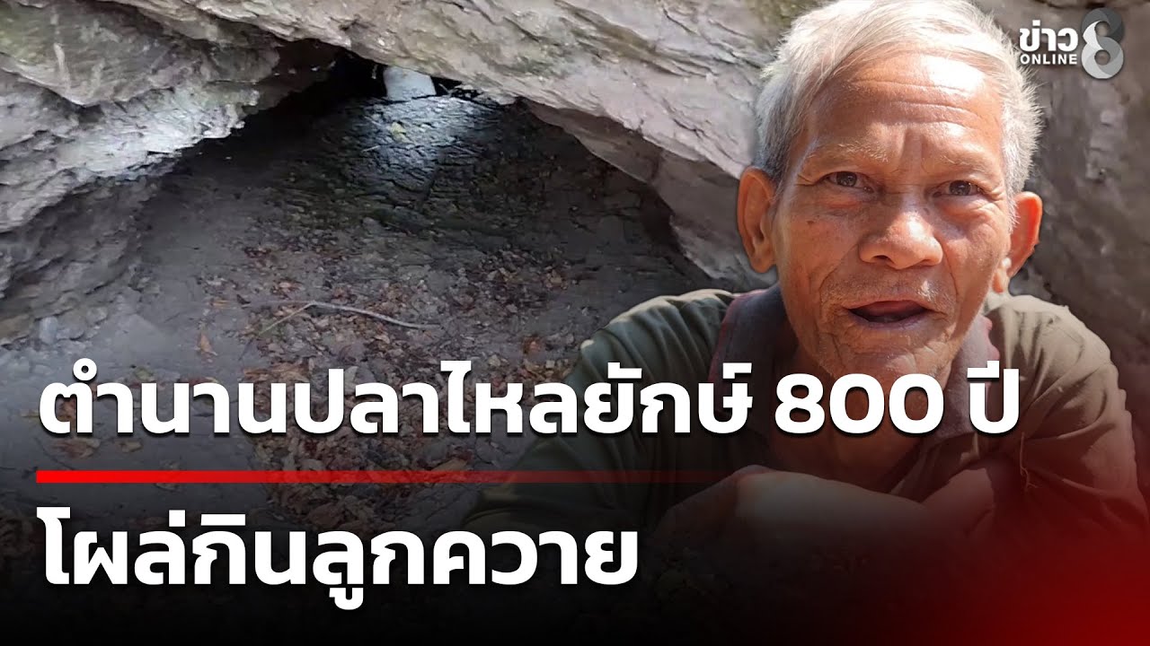 บุกพิสูจน์! ปลาไหล 800 ปี โผล่กินลูกควาย | 30 ม.ค. 69 | คุยข่าวเช้าช่อง8