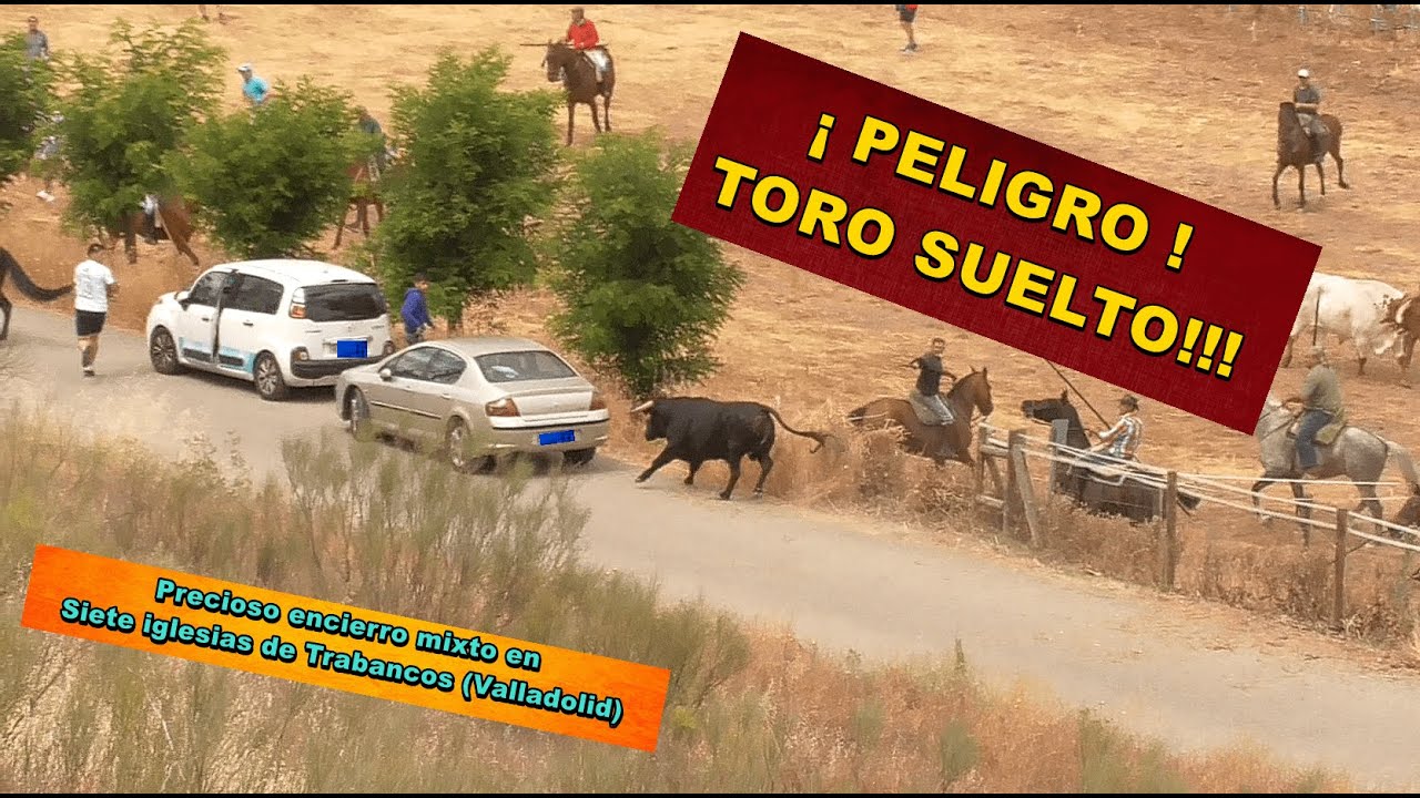 Siete Iglesias de Trabancos (Va), Encierro mixto. 