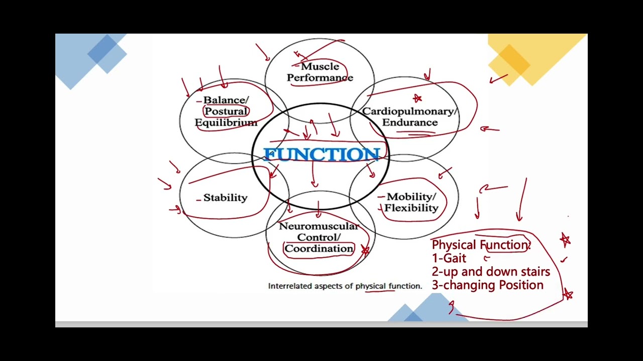 Therapeutic exercises lecture 1 (sinai university)