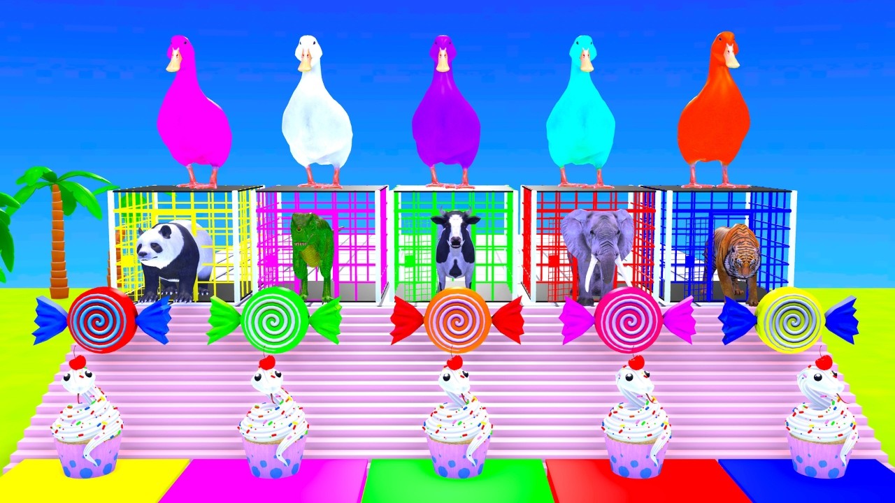 What happens when colorful ducks guard mystery animal cages? 🦆🌈