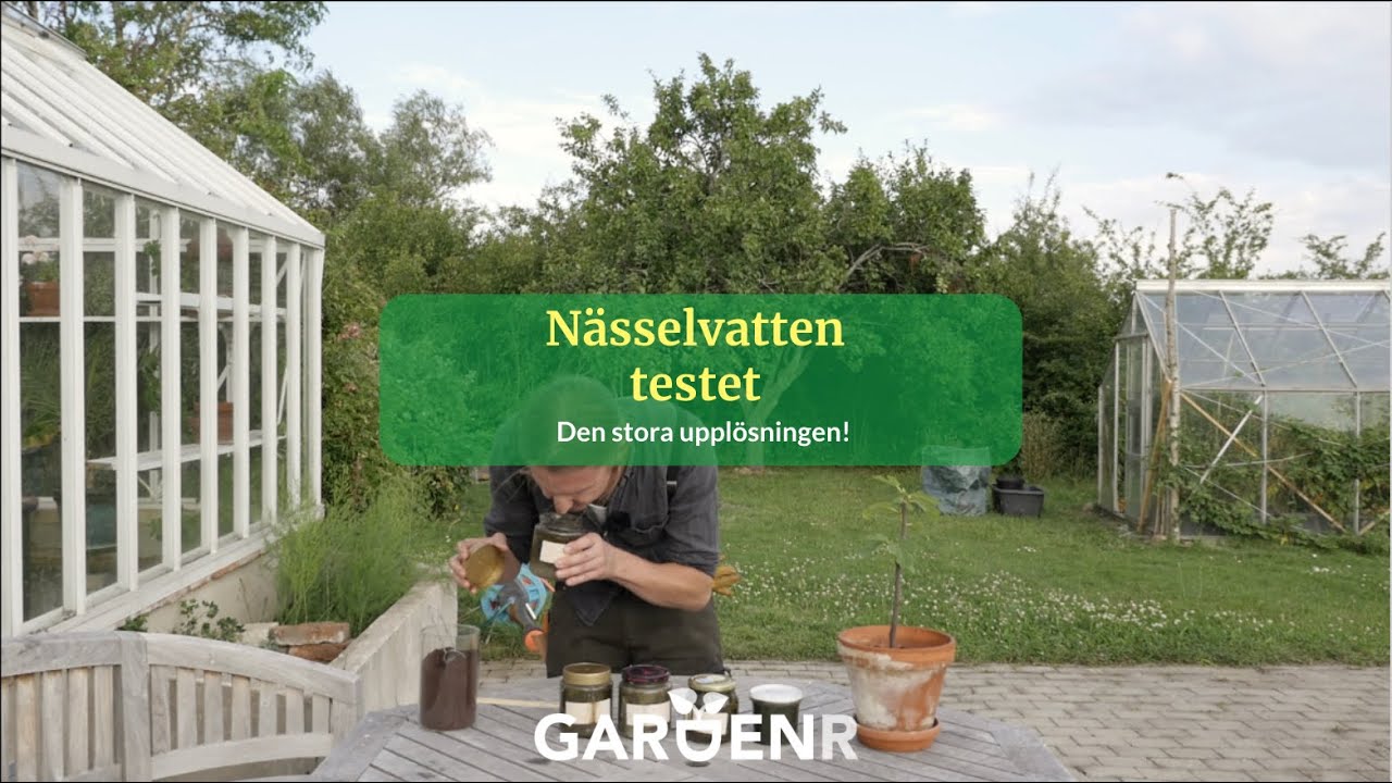 Nässelvattentestet, den spännande upplösningen - Trädgårdshacks med GardenR