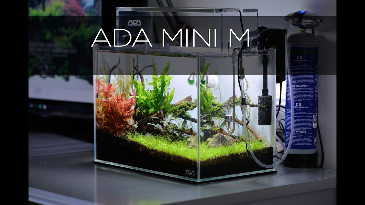 ADA MINI M AQUASCAPE