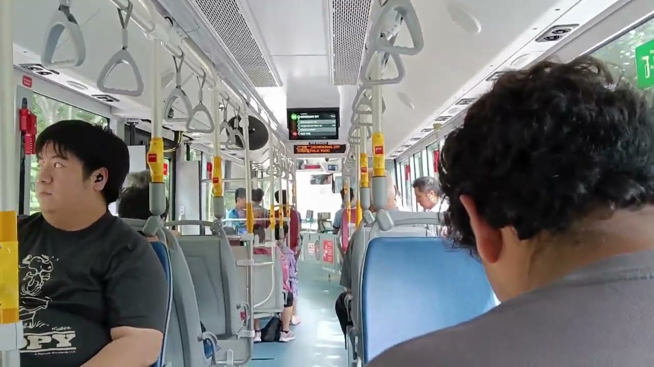 (Debut!)[SBS Transit] BYD BC12A04 Guangtong (Batch 1), SG3103E on 86