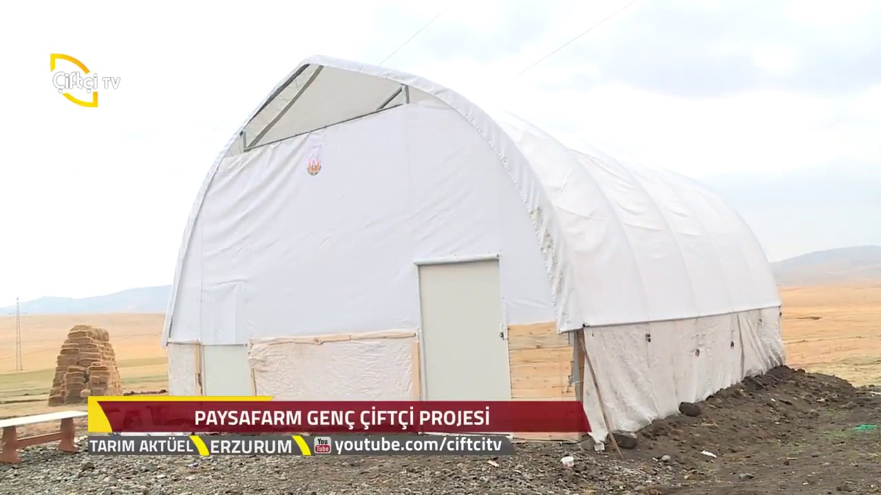 ''Genç Çiftçi'' projesi kapsamında Paysafarm büyükbaş ahırı