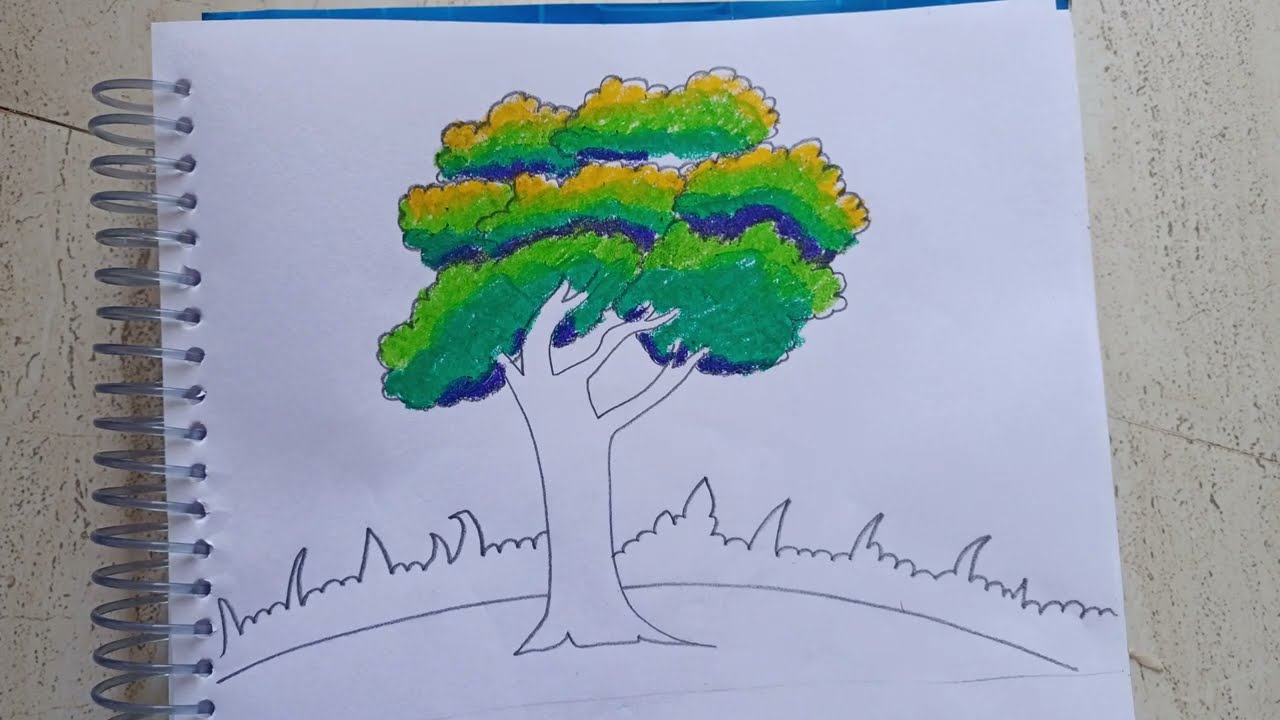 How to draw realsastic tree drawing 