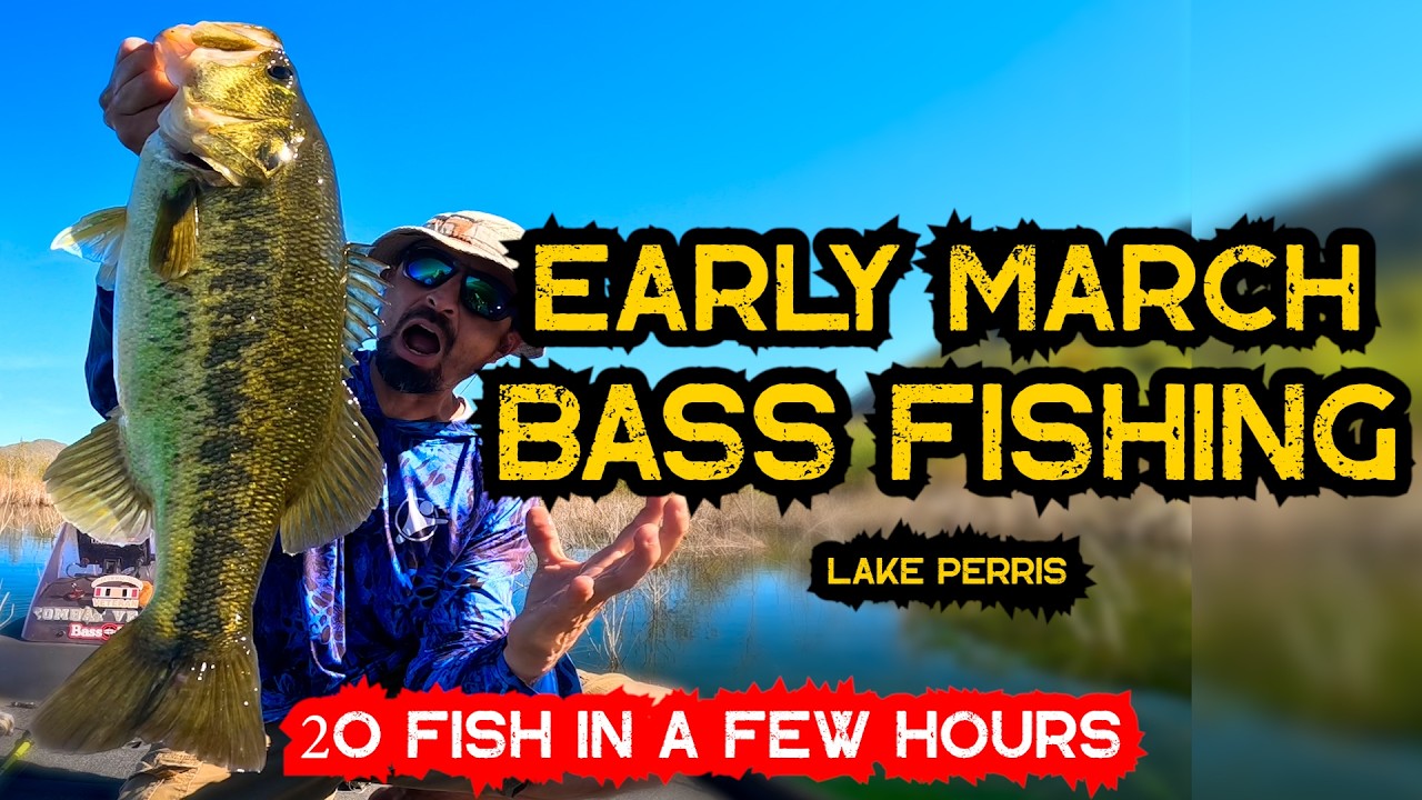 LAKE PERRIS March 2026 Bass Fishing Spring Spawn Sesh #bass #fishing #lakeperris