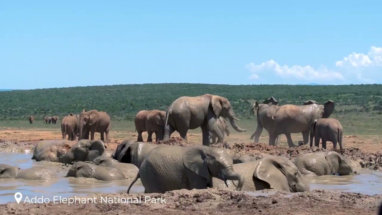 Wonders of South Africa | The Most Amazing Places to Visit in South Africa | Travel Video 4K