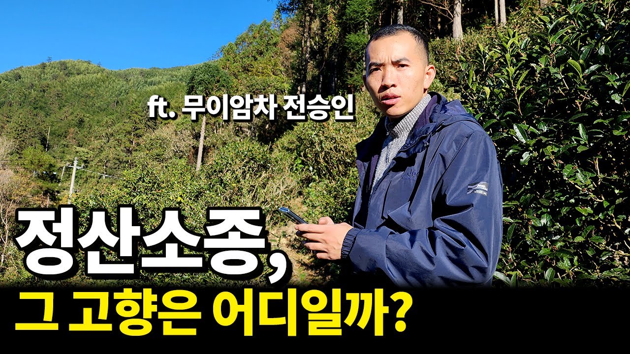 홍차의 조상 정산소종&middot;금준미, 그 고향은 어디일까? (동목촌, 동목관, 무이산)