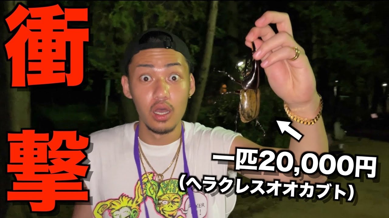 【少年心】地元の公園に超高級カブトムシいるドッキリ仕掛けたら喜びすぎて爆笑したwwwwwwww