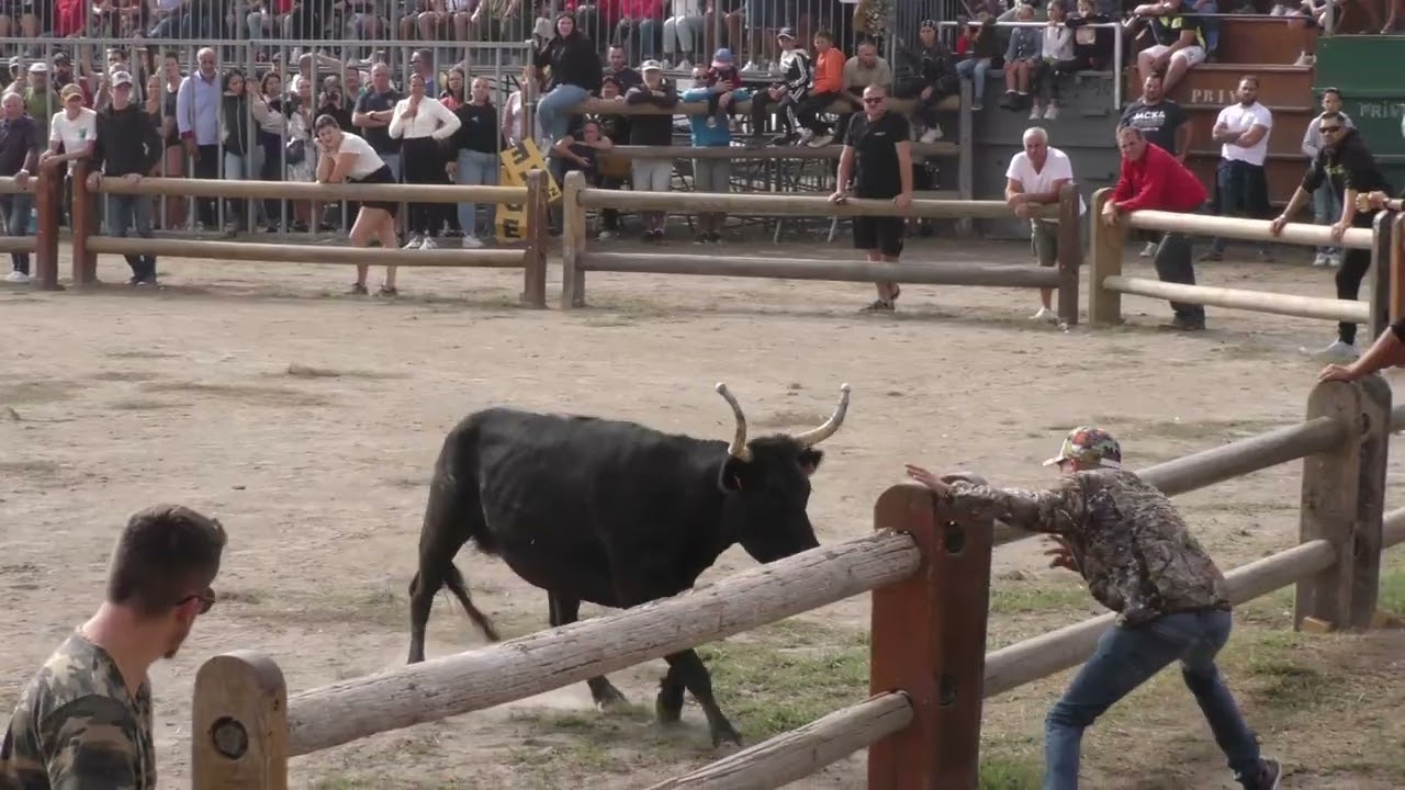 JOURNÉE VOTIVE AVEC GASE À AIGUES MORTES DU MARDI 10 OCTOBRE 2023