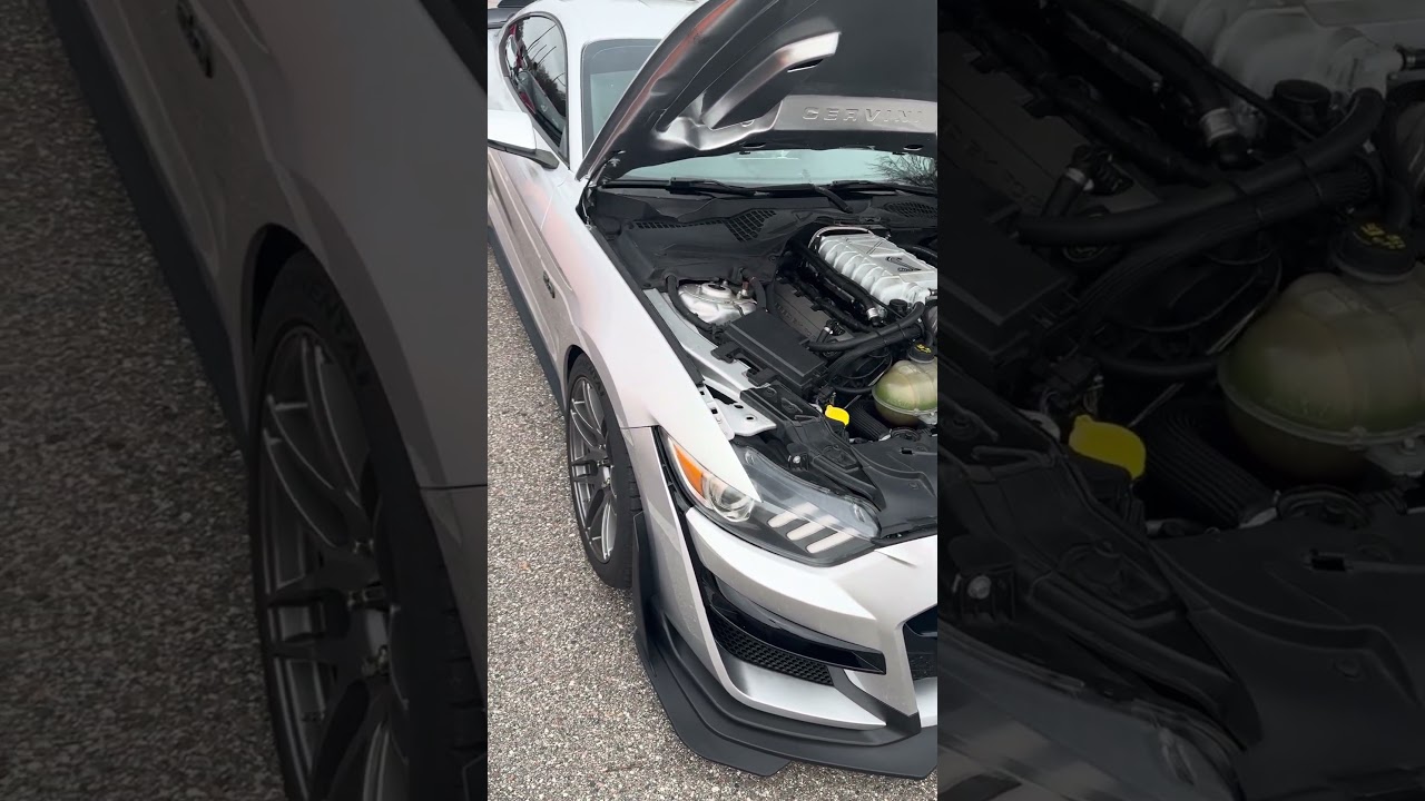 Truly Impressive Power #snake #mustanggt #gt500 #weekend #supercharger #fast