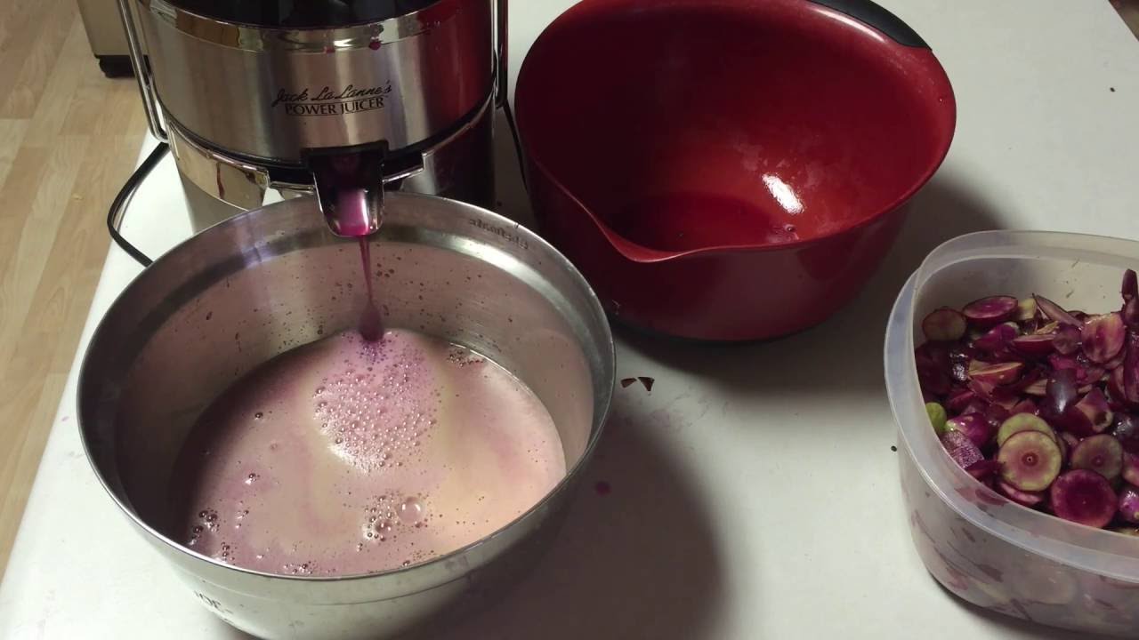 Prickly Pear Cactus Fruit (Tunas) Cleaning and Processing Part 2
