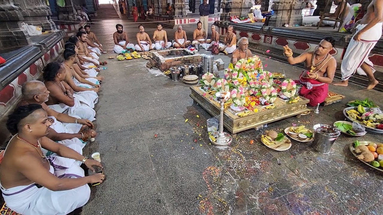 Rudra Homam Sri Natarajar Temple Deekshithars 18.7.23 chidambaram