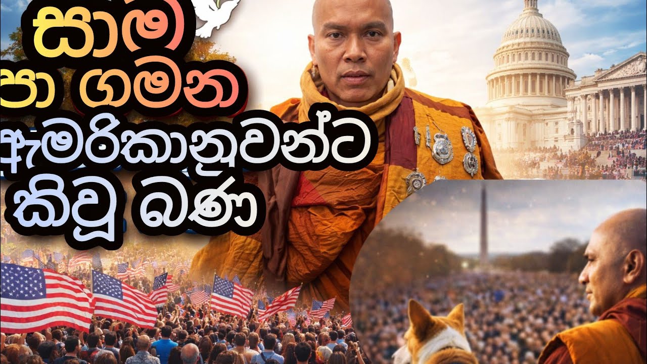 ඇමරිකාවේ සාම පා ගමන | ආලෝක සමඟ ලෝකයට දුන් පණිවිඩය