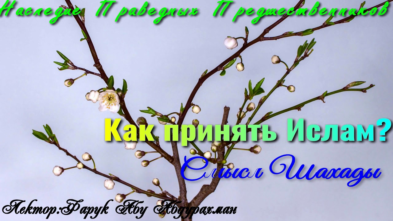 КАК ПРИНЯТЬ ИСЛАМ? (СМЫСЛ  ШАХАДЫ)