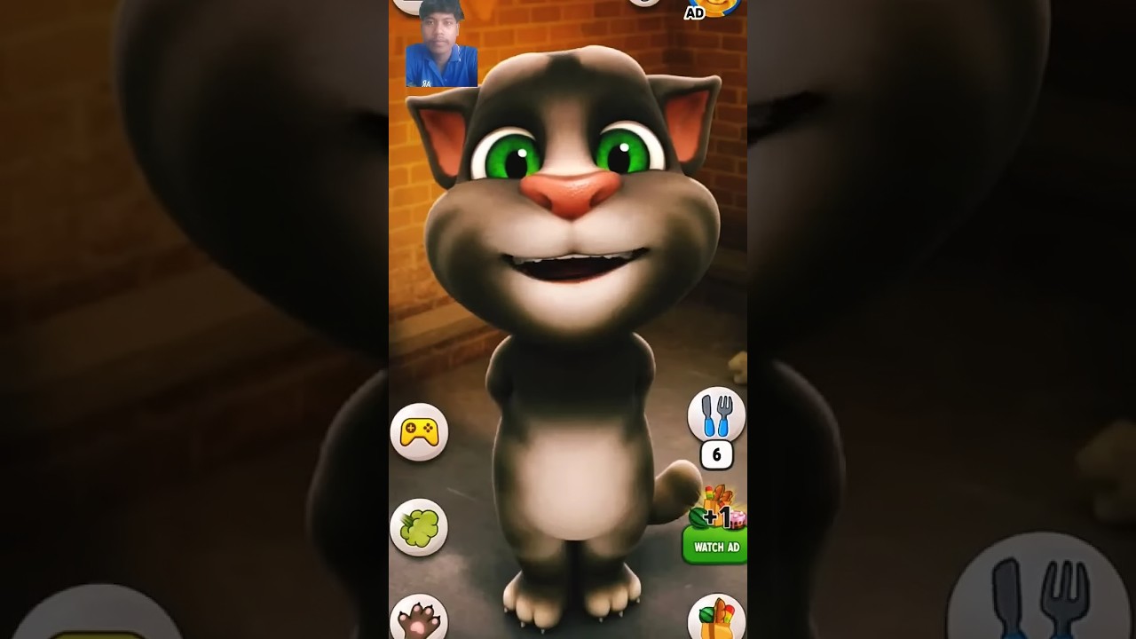 cartoon#billi#cotu#cat# funny#real video#🐈🐈🐈🐈🐈 subscribe dost