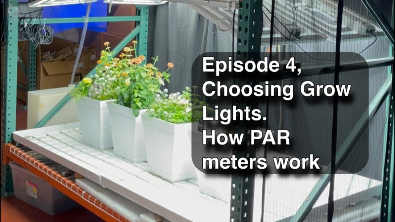 Choosing Grow Lights. Episode 4. PAR Meters. How they work and compare to LUX meters.