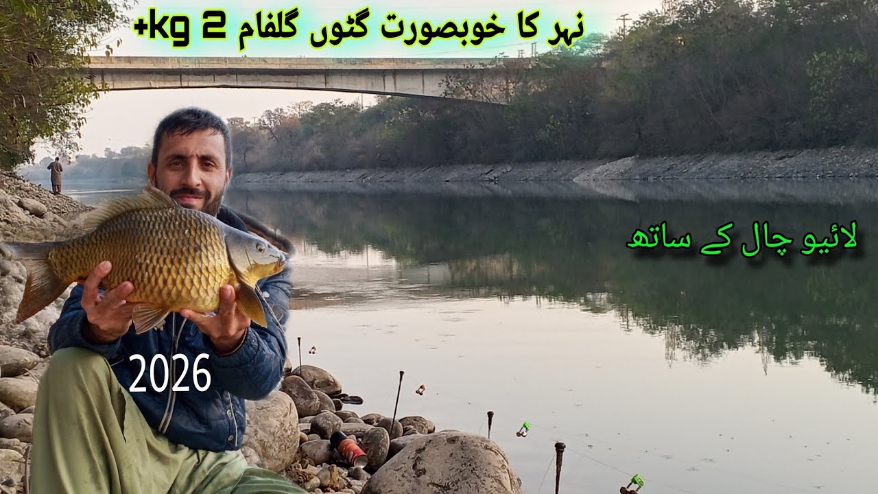 Wow Amazing | New Fishing Video 2026 |Beautiful Golden Carp Fish Catching | in River | Khan shikari