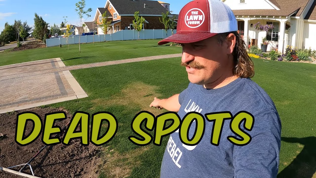 Lawn DEAD SPOTS issue. REEL MOW