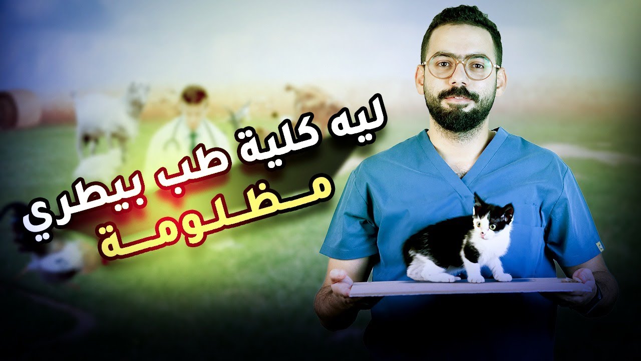 هل كلية طب بيطري ليها مستقبل في الوقت الحالي؟
