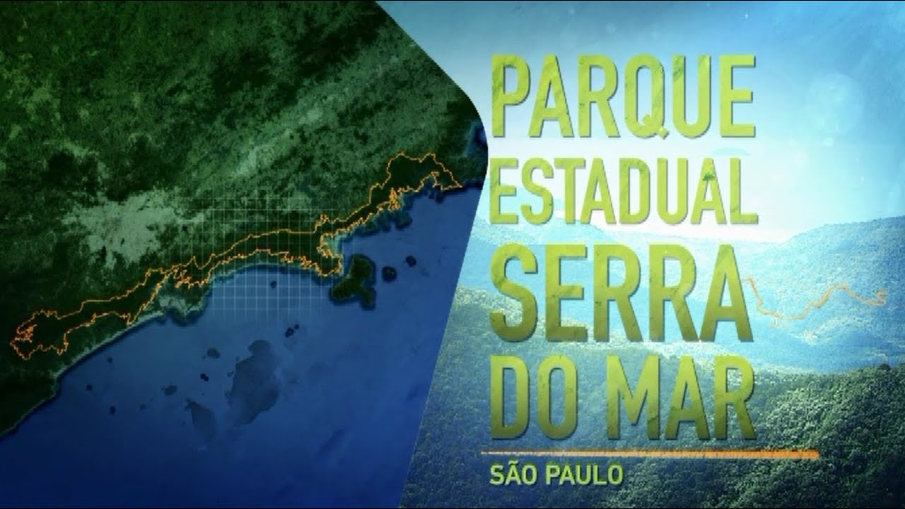 Parques de São Paulo: Serra do Mar