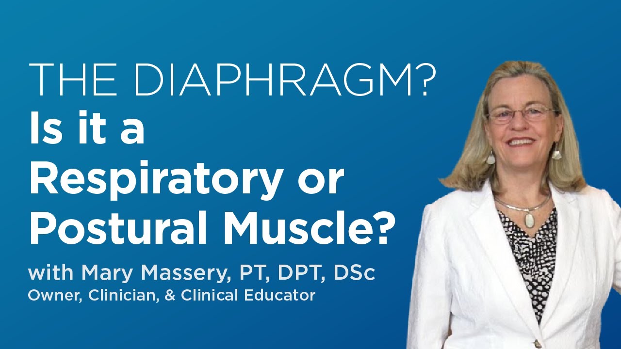 Is the Diaphragm a Respiratory OR Postural Muscle? The Surprising Answer