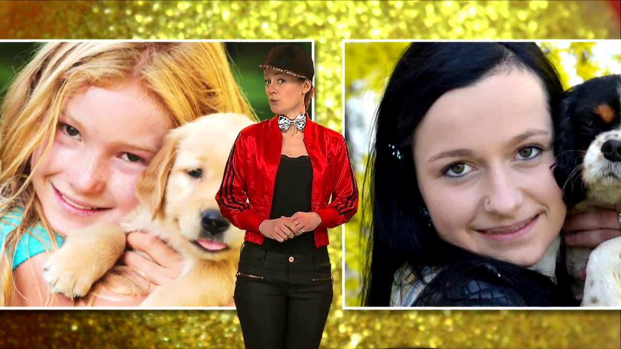 Waarom lijkt een hond vaak op z'n baasje? | Het Klokhuis