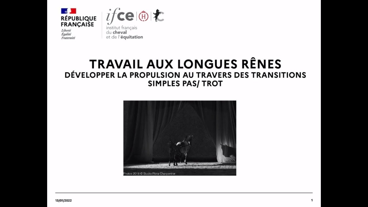 Travail aux longues rênes transitions simples - Laurence Sautet