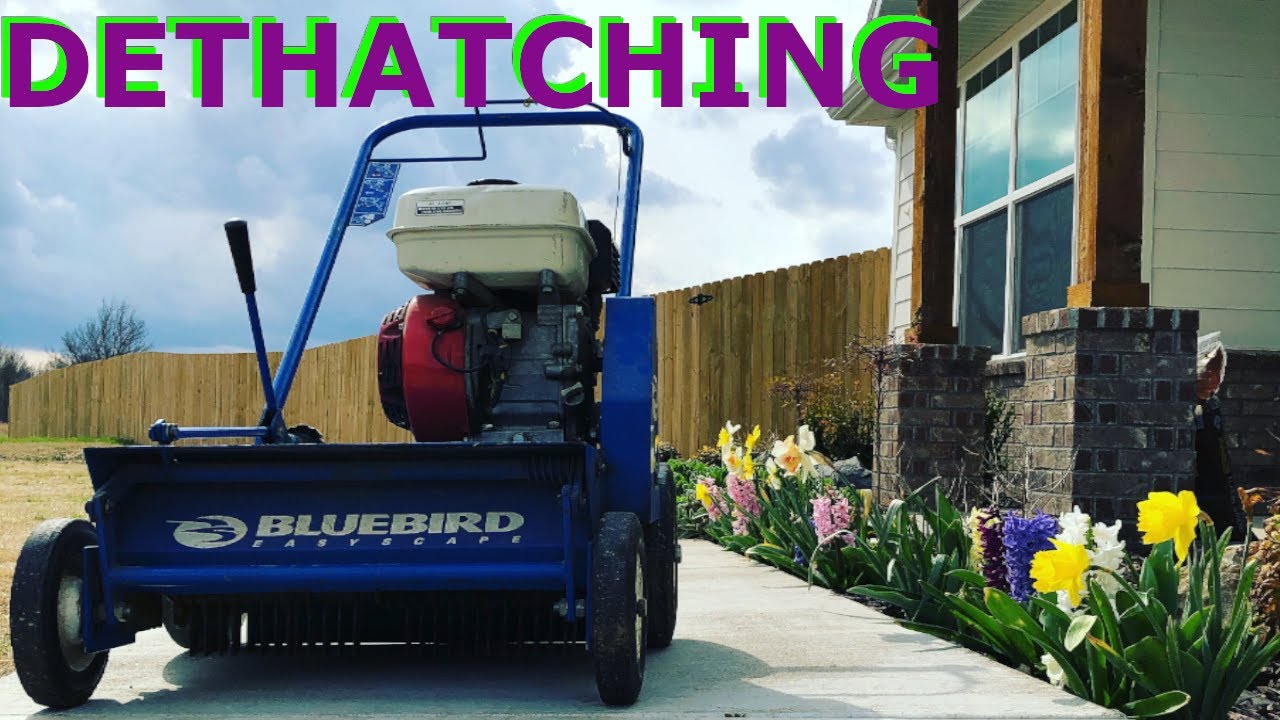 Bluebird POWER RAKE / DETHATCHER - spring SCALP